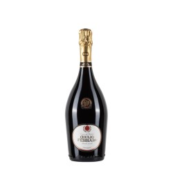 Bottiglia di Spumante Trento Doc Gulio Ferrari 2015 da 0.75l