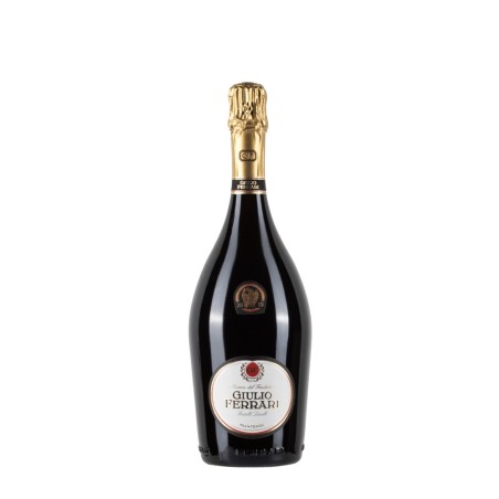 Bottiglia di Spumante Trento Doc Gulio Ferrari 2015 da 0.75l