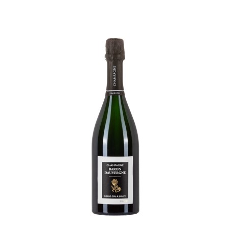 Bottiglia di champagne Baron Dauvergne Brut Prestige da 0.75l