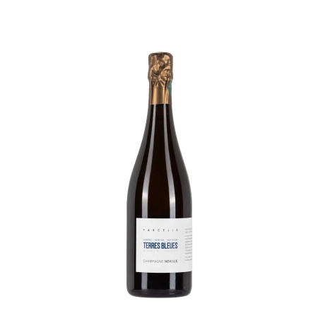 Domaine Nowack Terres Blues 2021 bottiglia 75cl – Bwineshop
