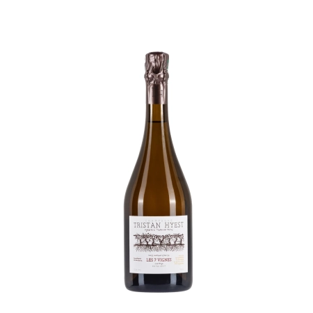 Tristan Hyest Les 7 Vignes bottiglia 75cl – Bwineshop