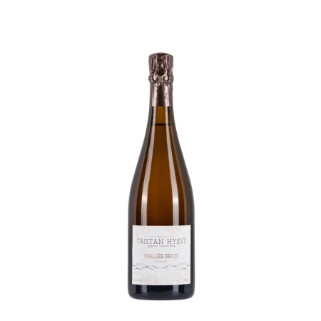 Tristan Hyest Vallée Meunier Brut bottiglia 75cl – Bwineshop