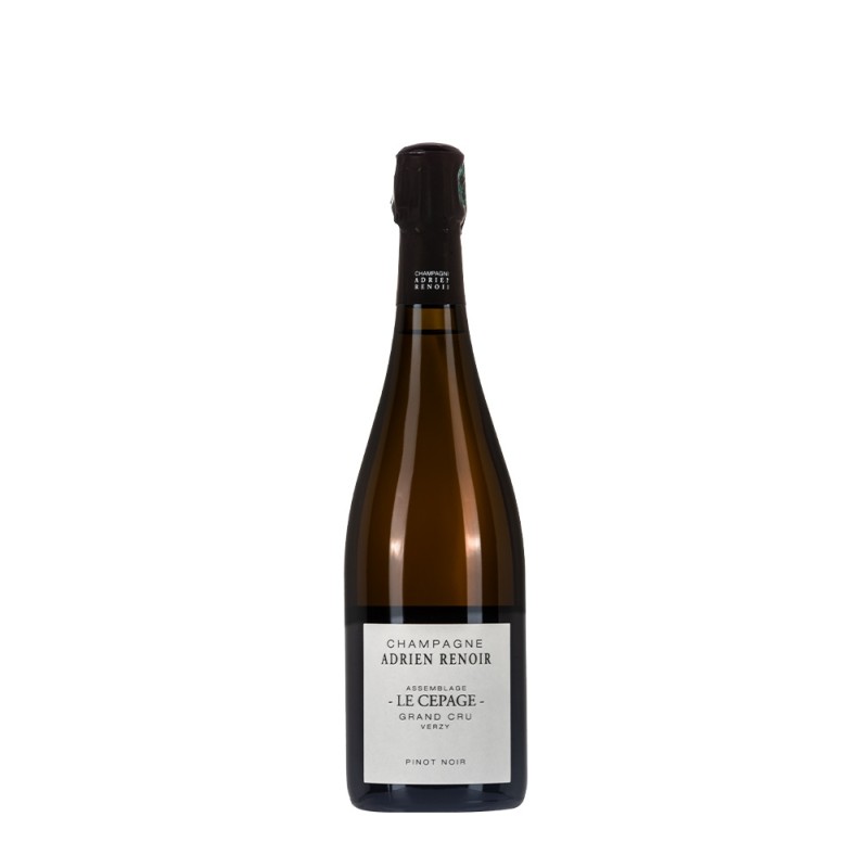 Bottiglia di champagne Adrien Renoir Le Cepage Extra Brut da 0.75l Bottiglia di champagne Adrien Renoir Le Cepage Extra Brut da 0.75l