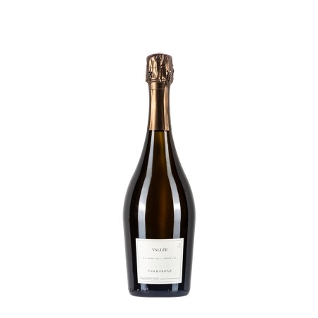 Bottiglia di champagne Domaine Les Monts Fournois Vallée 2014 da 0.75l