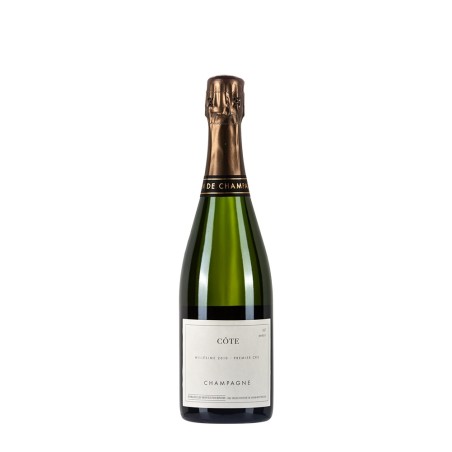 Bottiglia di champagne Domaine Les Monts Fournois Côte 2010 da 0.75l
