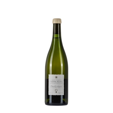 Bottiglia di David Leclapart Coteaux Champenois Trèpail Blanc Lv21 da 0.75l