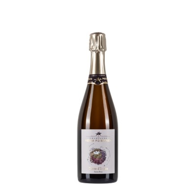 Bottiglia di champagne Regis Poissinet Terre D'Irizée da 0,75l