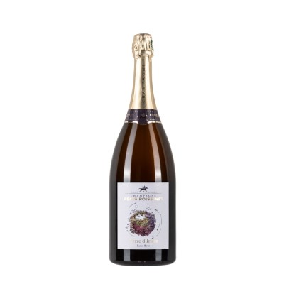 Magnum di champagne Regis Poissinet Terre D'Irizée da 1,5l