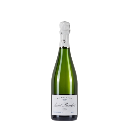 Bottiglia di champagne André Beaufort Polisy Brut 2015 da 0,75l