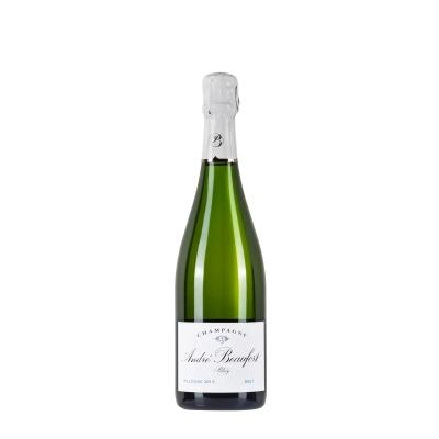 André Beaufort Polisy Brut 2015 sboccatura 2019 bottiglia 75cl - Bwineshop