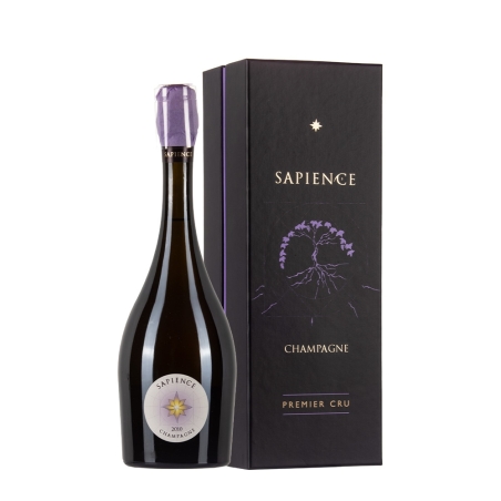 Bottiglia di champagne Marguet Sapience 2010 con astuccio da 0,75l