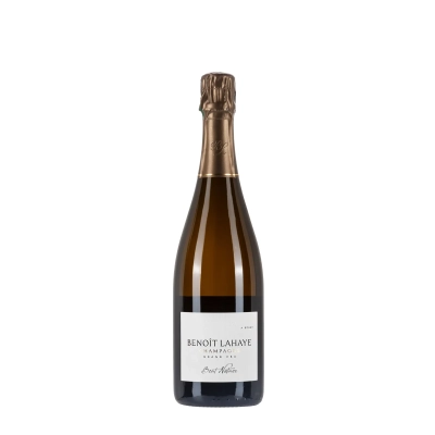 Benoît Lahaye Brut Nature bottiglia 75cl - Bwineshop