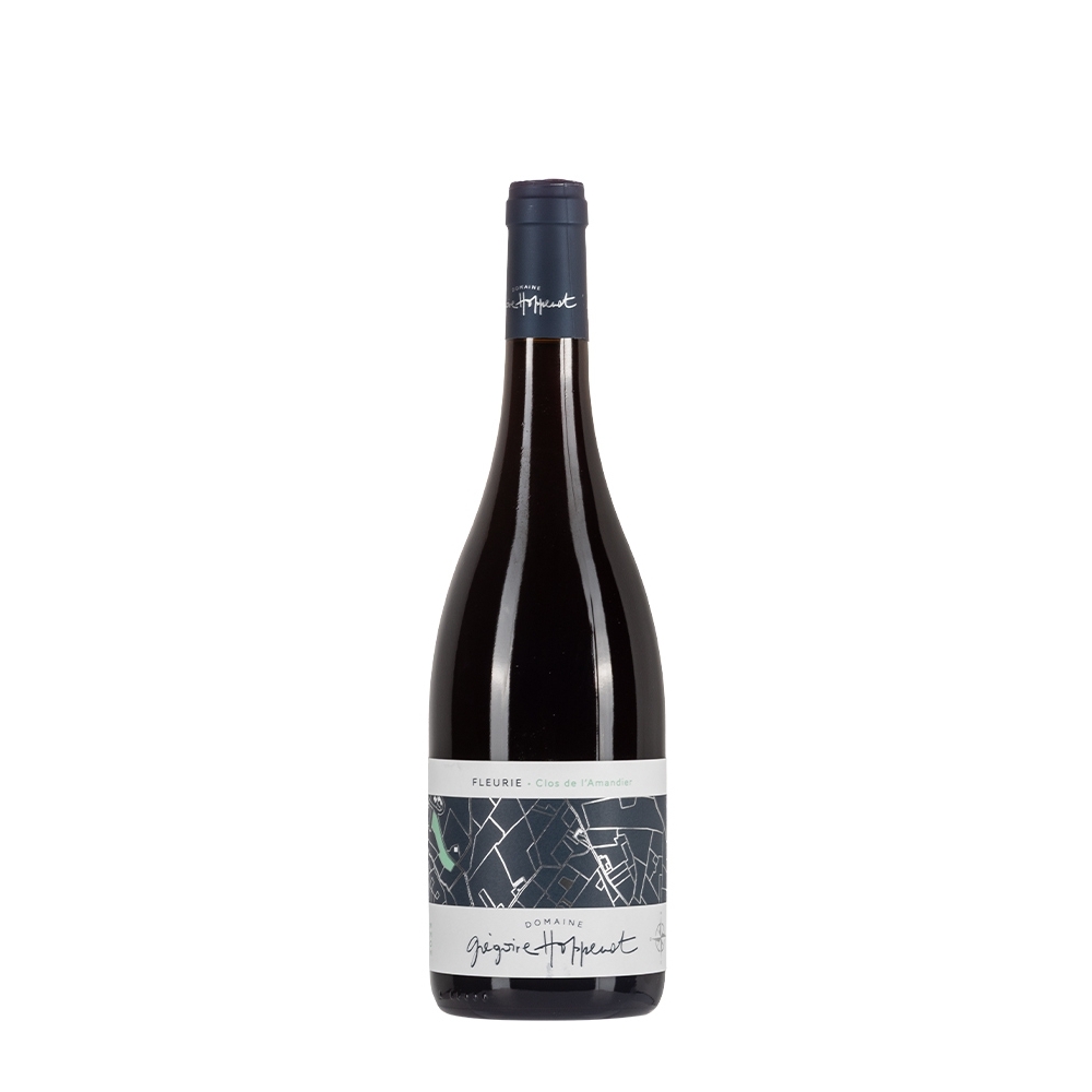 Bottiglia di gamay rosso Grégoire Hoppenot Fleurie Clos de l’Amandier 2022 da 0,75l