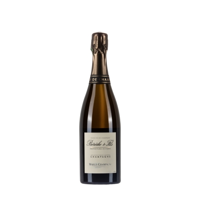 Bottiglia di Bérêche & Fils Mailly-Champagne 2019 da 0,75l