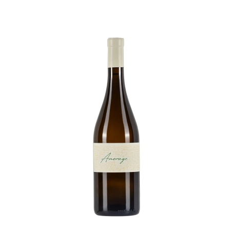 Les Quatre Piliers Ancrage Sauvignon Blanc 2024 bottiglia 75cl - Bwineshop