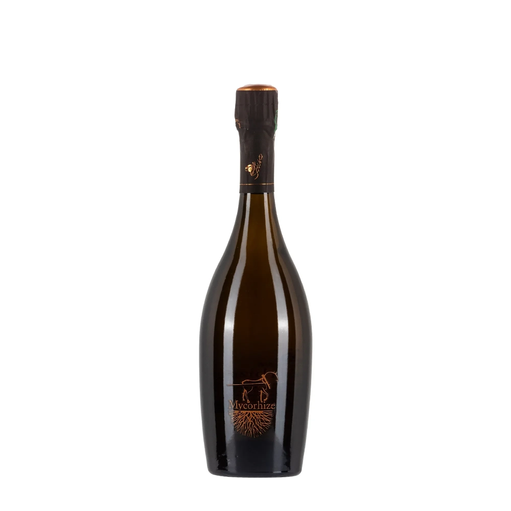 De Sousa Mycorhize bottiglia 75cl - Bwineshop