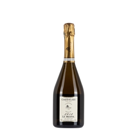 De Sousa 2012 Le Mesnil Les Chétillons Extra Brut bottiglia 75cl - Bwineshop