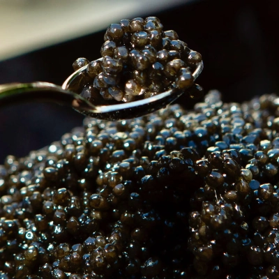 Caviale Calvisius Tradition Prestige 30g, caviar italiano di alta qualità - Bwineshop