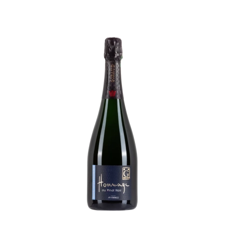 Henri Giraud Hommage au Pinot Noir bottiglia 75cl – Bwineshop