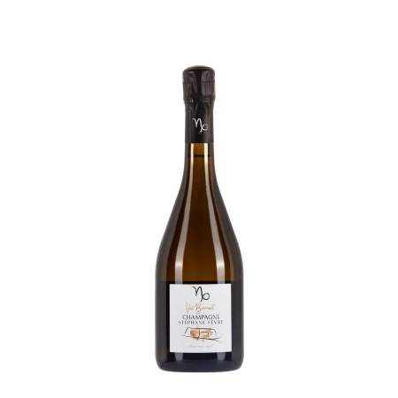 Stéphane Fèvre Val Barmont bottiglia 75cl – Bwineshop