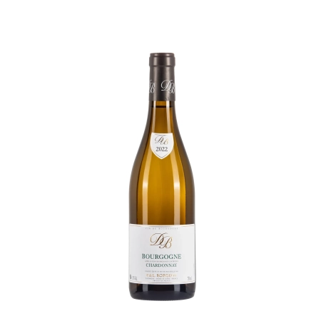 Borgeot P&L Bourgogne Chardonnay 2022 bottiglia 75cl – Bwineshop