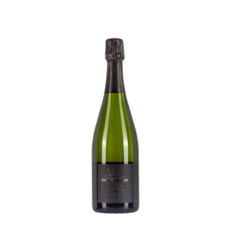 Pascal Agrapart 7 Crus Extra Brut bottiglia 75cl – Bwineshop
