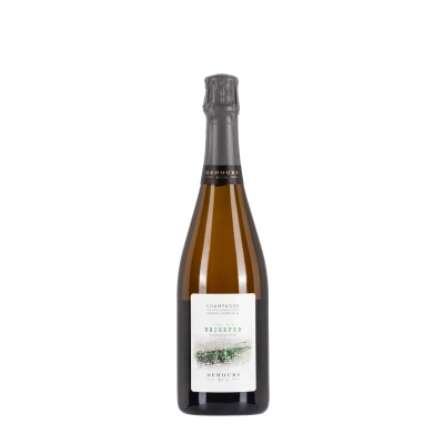 Dehours Lieu-dit Brisefer bottiglia 75cl – Bwineshop