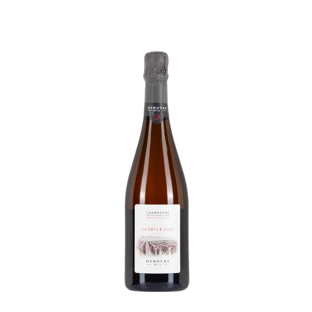 Dehours Lieu-dit La Croix Joly bottiglia 75cl – Bwineshop