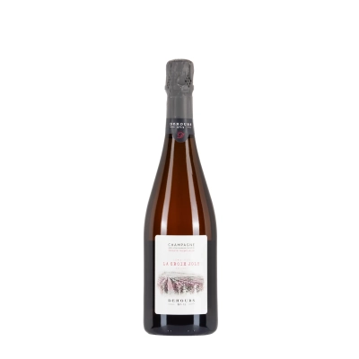 Dehours Lieu-dit La Croix Joly bottiglia 75cl – Bwineshop