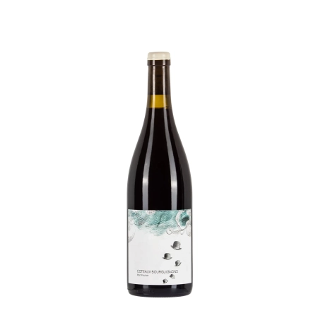 Les Horées Coteaux Bourguignons Mon Poulain 2022 bottiglia 75cl – Bwineshop