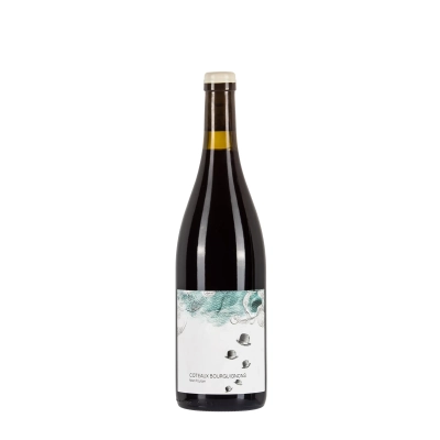 Les Horées Coteaux Bourguignons Mon Poulain 2022 bottiglia 75cl – Bwineshop