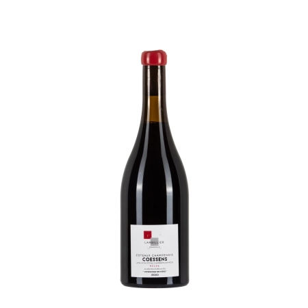 Coessens Coteaux Champenois Vendage Entière 2020 Rouge bottiglia 75cl – Bwineshop