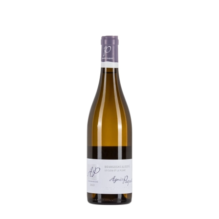 Agnès Paquet Bourgogne Aligoté Le Clou et la Plume 2023 bottiglia 75cl – Bwineshop