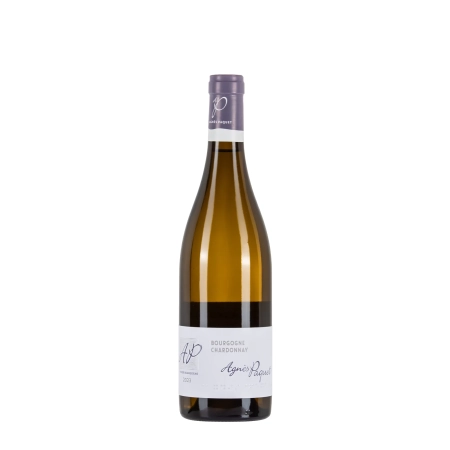 Agnès Paquet Bourgogne Chardonnay 2023 bottiglia 75cl – Bwineshop