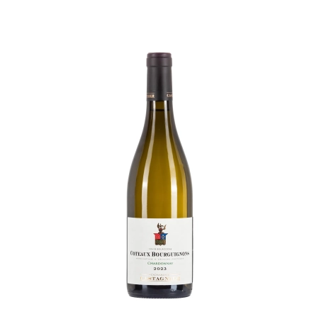 Domaine Castagnier Coteaux Bourguignon Chardonnay 2023 bottiglia 75cl – Bwineshop