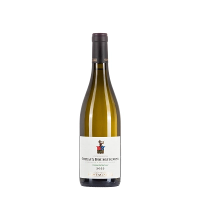 Domaine Castagnier Coteaux Bourguignon Chardonnay 2023 bottiglia 75cl – Bwineshop