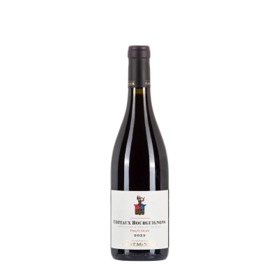 Domaine Castagnier Coteaux Bourguignon Pinot Noir 2023 bottiglia 75cl – Bwineshop