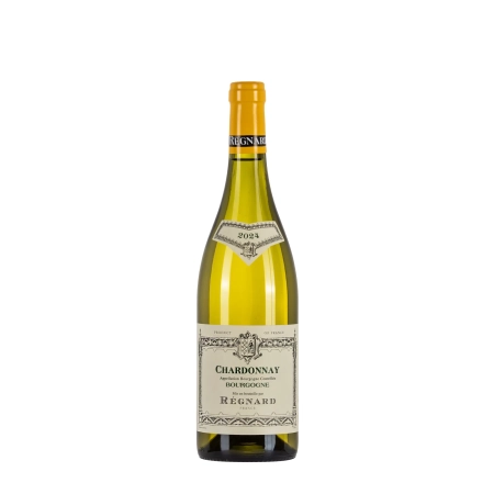 Régnard Bourgogne Chardonnay 2024 bottiglia 75cl - Bwineshop