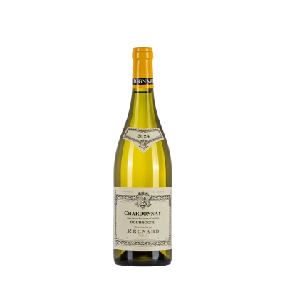 Régnard Bourgogne Chardonnay 2024 bottiglia 75cl - Bwineshop