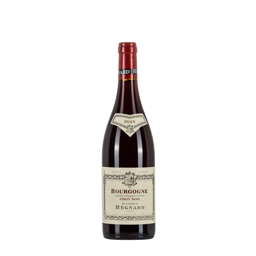 Régnard Bourgogne Pinot Noir 2024 bottiglia 75cl - Bwineshop