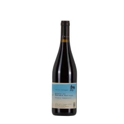 Thierry Germain Saumur Champigny 2025 | Cabernet Franc | Bwineshop