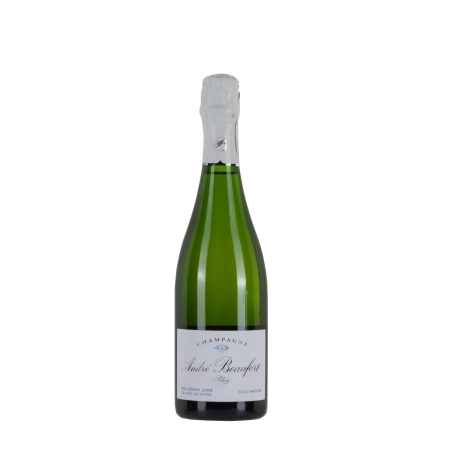 André Beaufort Polisy Blanc de Noirs Millésime 2009 bottiglia 75cl – Bwineshop