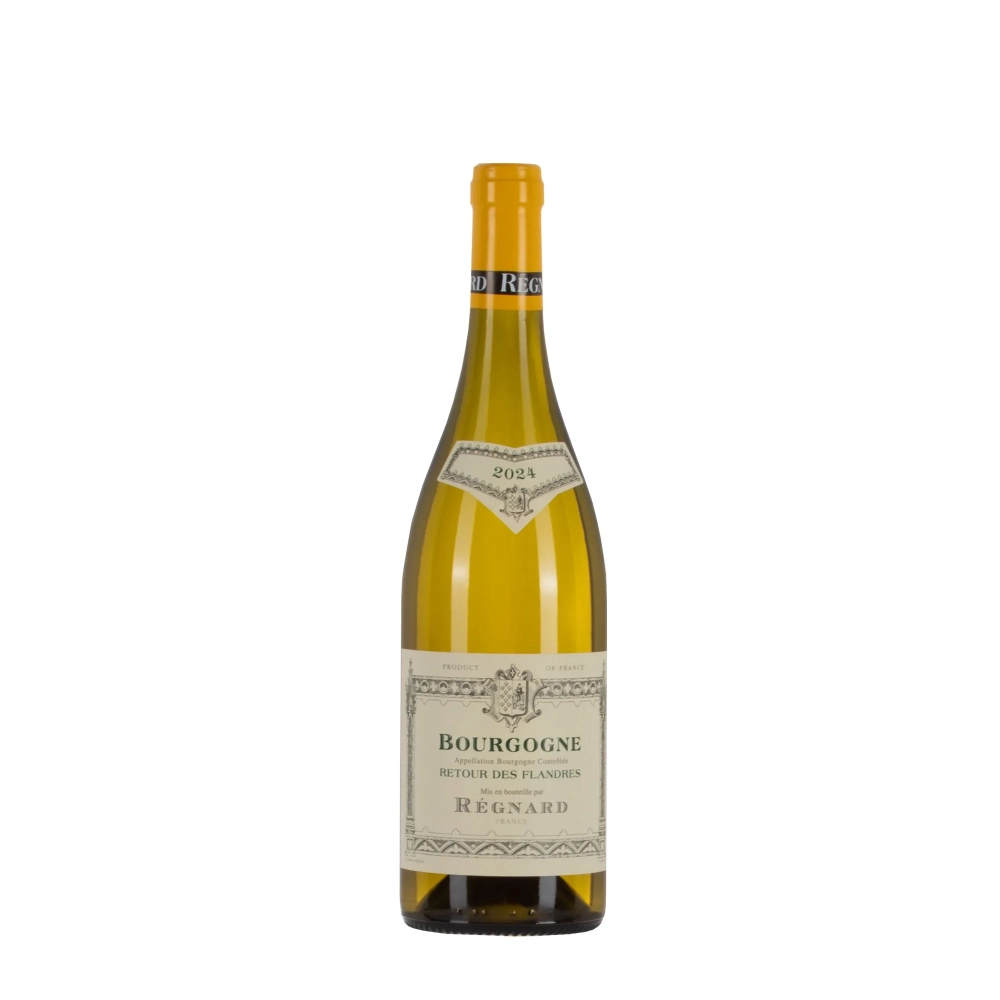 Régnard Bourgogne Retour des Flandres 2024 bottiglia 75cl – Bwineshop