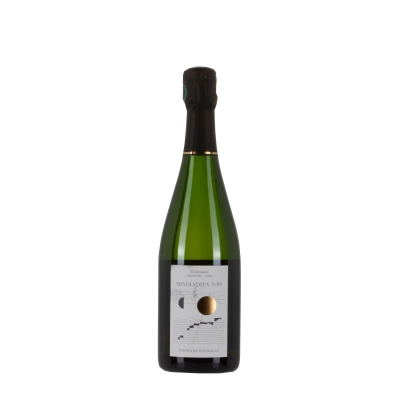 Stéphane Regnault Mixolydien N°99 bottiglia 75cl – Bwineshop