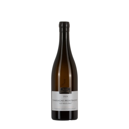 Coffinet-Morey Chassagne-Montrachet Les Houillères 2024 bottiglia 75cl – Bwineshop