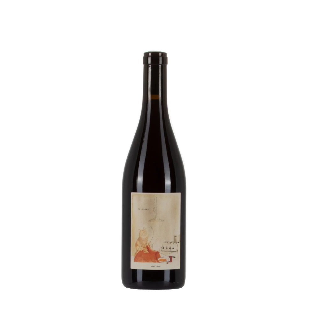 Henri Chauvet Vie Ordinaire 2024 bottiglia 75cl – Bwineshop