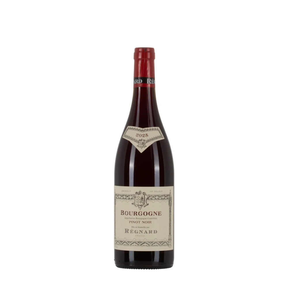 Régnard Bourgogne Pinot Noir 2025 bottiglia 75cl – Bwineshop