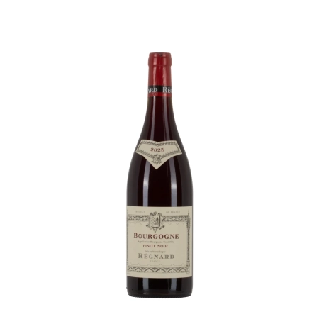 Régnard Bourgogne Pinot Noir 2025 bottiglia 75cl – Bwineshop
