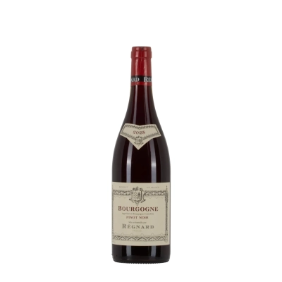 Régnard Bourgogne Pinot Noir 2025 bottiglia 75cl – Bwineshop