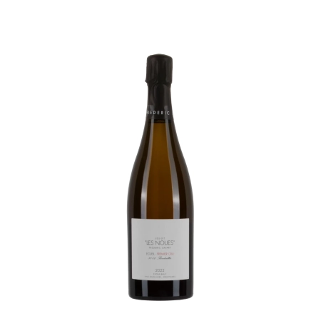 Frédéric Savart Les Noues 2022 bottiglia 75cl – Bwineshop